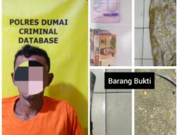 Aksi Curi 10 Janjang Sawit di Dumai Terbongkar, Uang Hasil Jualan Rp745 Ribu Disita