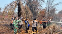 4 Titik Api Terdeteksi di Lahan Gambut Inhu, Bupati: Wajib Jaga 24 Jam