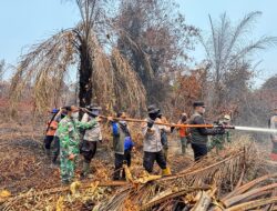 4 Titik Api Terdeteksi di Lahan Gambut Inhu, Bupati: Wajib Jaga 24 Jam