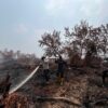 Karhutla di Eks Lahan PT MPL Kerumutan Dipadamkan, Titik Panas Masih Ditemukan