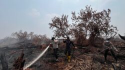 Karhutla di Eks Lahan PT MPL Kerumutan Dipadamkan, Titik Panas Masih Ditemukan