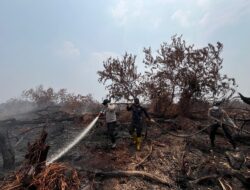 Karhutla di Eks Lahan PT MPL Kerumutan Dipadamkan, Titik Panas Masih Ditemukan