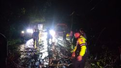 Tengah Malam, Polisi dan Warga Gotong Royong Singkirkan Pohon Tumbang di Tanjung Pauh