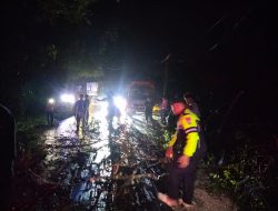 Tengah Malam, Polisi dan Warga Gotong Royong Singkirkan Pohon Tumbang di Tanjung Pauh