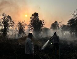 Arah Angin Berubah Jadi Tantangan Utama Padamkan Api di Rimbo Panjang
