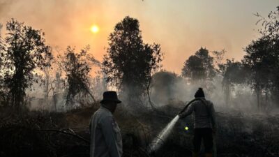 Arah Angin Berubah Jadi Tantangan Utama Padamkan Api di Rimbo Panjang