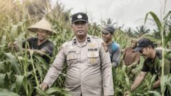 September Kemarau, Semangat Gotong Royong Polsek Kandis dan Petani Menguatkan