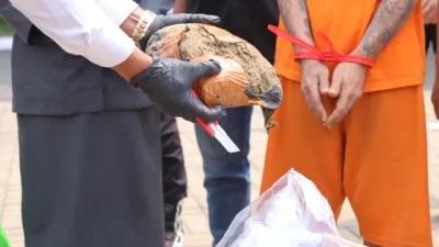 Berantas Peredaran Narkoba, Polres Metro Tangerang Kota Musnahkan Ganja, Sabu dan Tembakau Sintetis