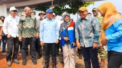 Bertahan Hadapi El Nino dan Lahan Salin, BRIN-PGN-Pemkab Batang Panen Raya 166,5 Ton Padi Biosalin