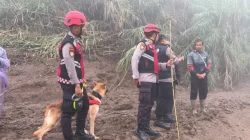 Unit Polsatwa Ditsamapta Polda Sumbar Turunkan K9 Spesifikasi SAR Telusuri Jalur Air Bah