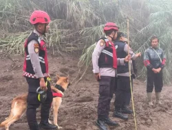 Unit Polsatwa Ditsamapta Polda Sumbar Turunkan K9 Spesifikasi SAR Telusuri Jalur Air Bah