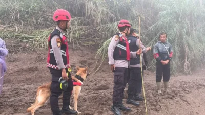 Unit Polsatwa Ditsamapta Polda Sumbar Turunkan K9 Spesifikasi SAR Telusuri Jalur Air Bah
