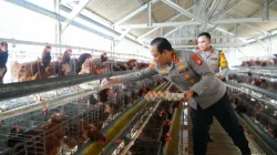 Polda Metro Jaya Jadi Contoh Penguatan Rantai Pasok MBG, Polri Dorong Jajaran Kembangkan Potensi Pangan Lokal
