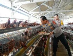 Polda Metro Jaya Jadi Contoh Penguatan Rantai Pasok MBG, Polri Dorong Jajaran Kembangkan Potensi Pangan Lokal