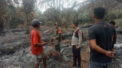 Lahan Sawit di Kawasan TNTN Terbakar, Polsek Pangkalan Kuras Lakukan Pendinginan