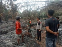Lahan Sawit di Kawasan TNTN Terbakar, Polsek Pangkalan Kuras Lakukan Pendinginan