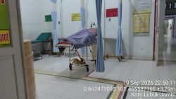 Pergi Panen Sawit, Petani di Kuansing Ditemukan Tak Bernyawa
