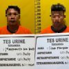 Gerebek Rumah di Rantau Panjang Kiri, Polisi Sita 2,41 Gram Sabu dari Dua Pria