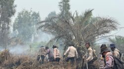 Karhutla di Dayun Siak Masih Menyala, Posko Lapangan Didirikan