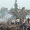 Pelalawan Terbanyak, Polda Riau Tangani 45 Kasus Karhutla Sepanjang 2026