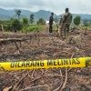 Bakar Lahan 200 Hektar Dekat TNBT, Warga Batang Cenaku Diciduk
