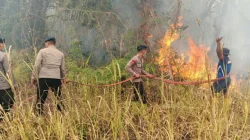 Brimob Malut Respons Cepat, Bersinergi Padamkan Kebakaran Lahan di Desa Tewil