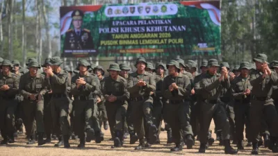 Tindak Lanjuti Arahan Presiden, Polri Siapkan 70 Ribu Polisi Khusus Kehutanan