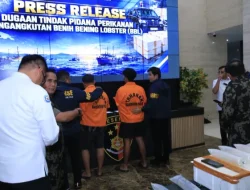 Polri Ungkap Jaringan Penyelundupan Baby Lobster Lintas Negara, Dua Pelaku Ditangkap