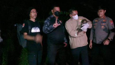 Polisi Selamatkan Induk dan Anak Orang Utan Terdampak Karhutla di Kalimantan Tengah