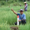 Jaga Keamanan Aset, Dirjen SPPR Imbau para Pemilik Tanah Untuk Pasang Patok Tanda Batas