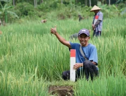 Jaga Keamanan Aset, Dirjen SPPR Imbau para Pemilik Tanah Untuk Pasang Patok Tanda Batas