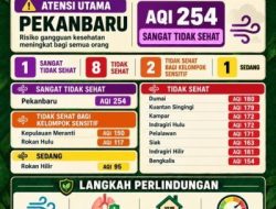 Udara Riau Memburuk, 8 Daerah Masuk Kategori Tidak Sehat, Pekanbaru Tertinggi