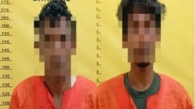 Resahkan Petani, Dua Pencuri Sawit di Batu Teritip Ditangkap Polisi