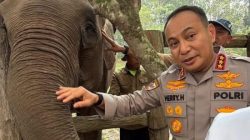 Komitmen Konservasi, Komjen Herry Heryawan: Beri Keadilan Tak Hanya untuk Manusia, tapi Juga Alam