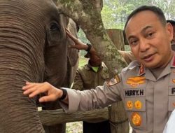 Komitmen Konservasi, Komjen Herry Heryawan: Beri Keadilan Tak Hanya untuk Manusia, tapi Juga Alam
